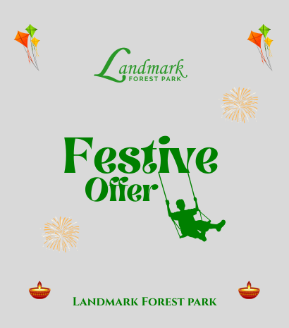 Festive Offer
