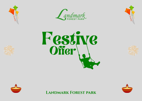 Festive Offer