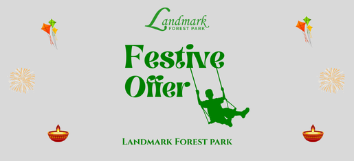Festive Offer